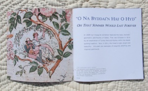 2011_2